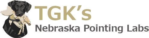 TGK’s Nebraska Pointing Labs Logo